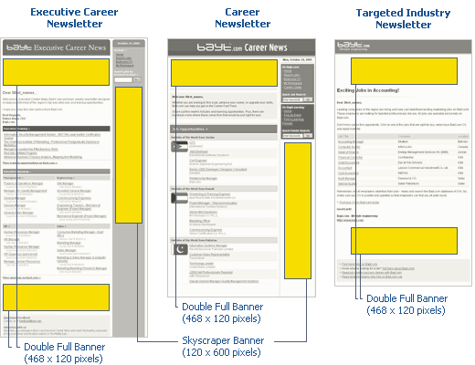 Career newsletter screenshot