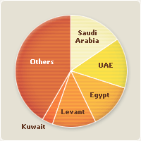 Registered users on Bayt.com by market
