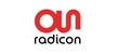 Assystem Radicon