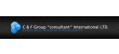 C&F Group Consultant International LTD