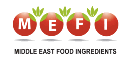 MEFI