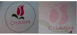 Charm Flowers